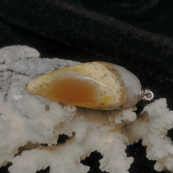 Korallenjaspis Anhänger